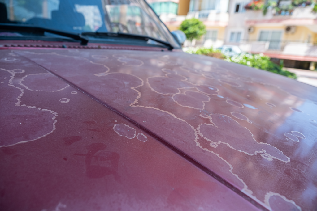 Mantén tu Coche en Excelente Estado: Previniendo Daños por la Intemperie en la Carrocería