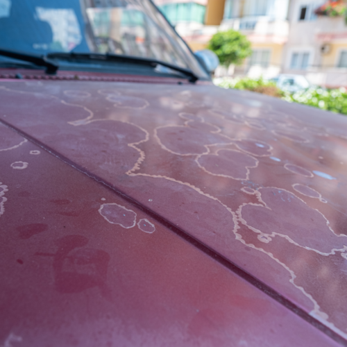 Mantén tu Coche en Excelente Estado: Previniendo Daños por la Intemperie en la Carrocería